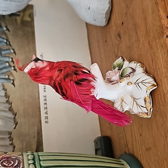 Red 🪭 CARDINAL bird 🌹 - Picture 5 of 10